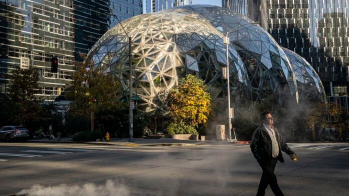 Amazon-suspends-engineer-who-protested-companys-work-with-Israel.jpeg